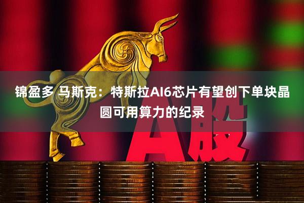 锦盈多 马斯克：特斯拉AI6芯片有望创下单块晶圆可用算力的纪录