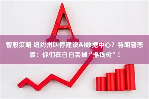 智股策略 纽约州叫停建设AI数据中心？特朗普怒喷：你们在白白丢掉“摇钱树”！